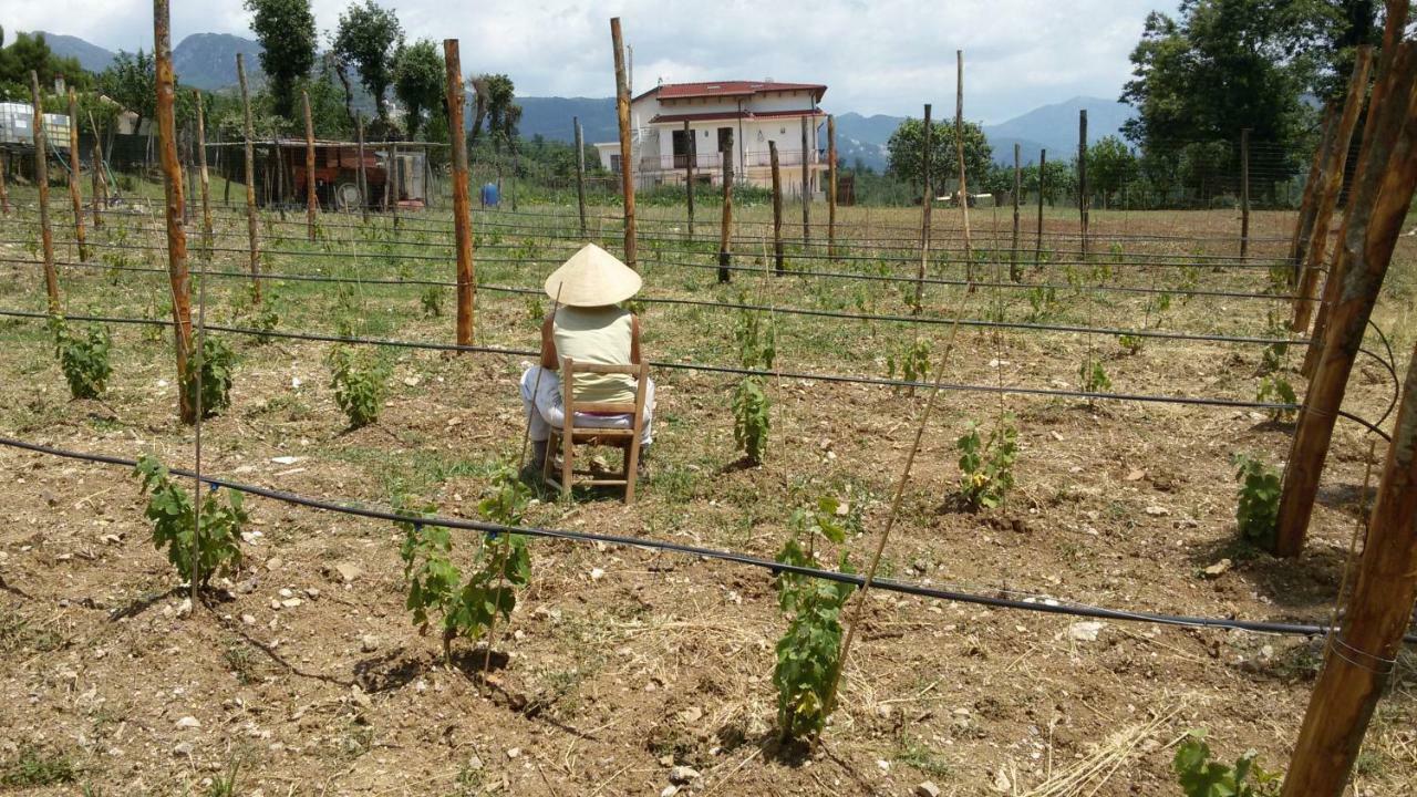 L'Arcadia Bed & Breakfast Giffoni Sei Casali Exterior photo